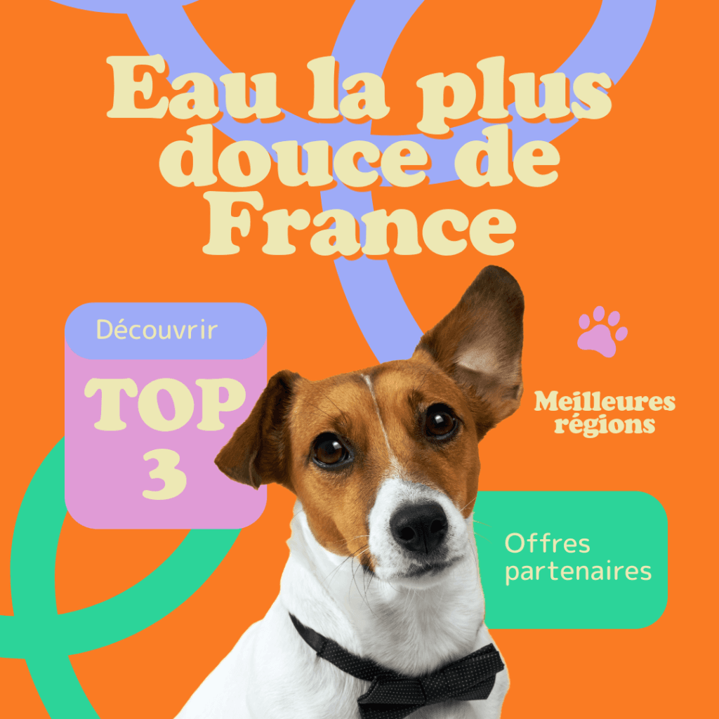 Image promotionnelle. Texte : 'Eau la plus douce de France', 'Top 3', 'Meilleures régions', 'Offres partenaires'. Image d'un chien portant un nœud papillon.