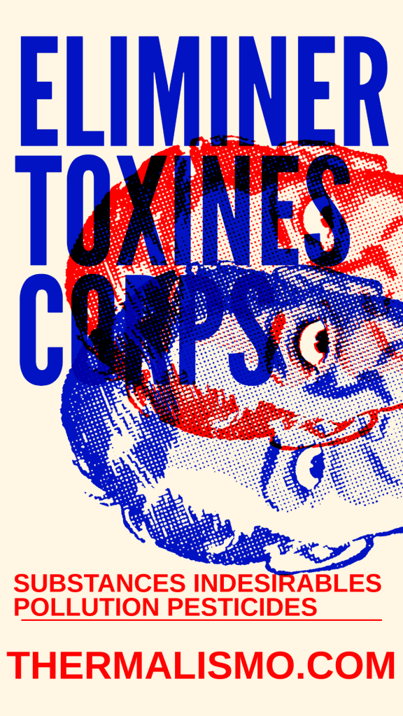 Affiche de style graphique avec un dessin abstrait rouge et bleu et les mots en gros caractères 'ELIMINER TOXINES CORPS', suivis de 'SUBSTANCES INDESIRABLES POLLUTION PESTICIDES', et l'URL thermalismo.com.