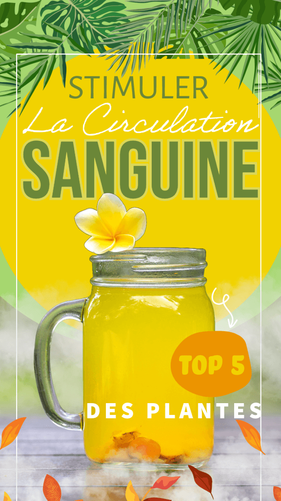 Image estivale et colorĂ©e d'une boisson jaune dans un bocal sur une table en bois, avec une fleur et des feuilles tropicales. Le texte 'STIMULER La Circulation SANGUINE' et 'TOP 5 DES PLANTES' est superposĂ©, illustrant les solutions naturelles de thermalismo.com pour le bien-ĂȘtre